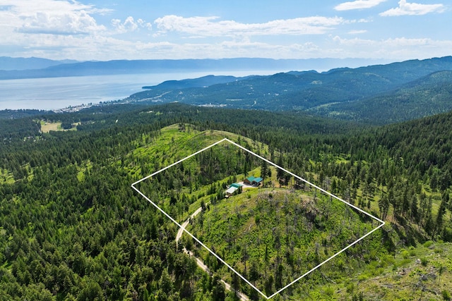 298 Lone Wolf Trl, Lakeside, MT 59922 - aerial view of property and surrounding area with a mountain backdrop and property parcel outlined
