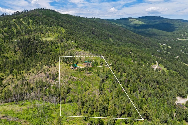 298 Lone Wolf Trl, Lakeside, MT 59922 - view of property location featuring mountains and property boundaries highlighted
