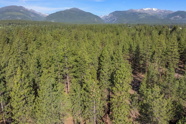 452 Blair Ln, Victor, MT 59875 - mountain view featuring a heavily wooded area