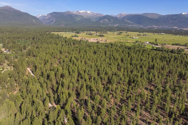 452 Blair Ln, Victor, MT 59875 - mountain view featuring a heavily wooded area