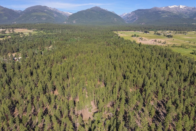 452 Blair Ln, Victor, MT 59875 - view of mountain backdrop featuring a heavily wooded area