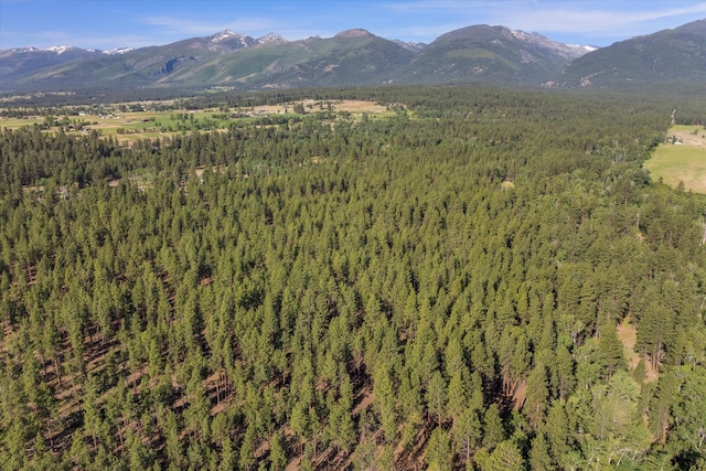 452 Blair Ln, Victor, MT 59875 - mountain view with a forest