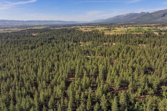 452 Blair Ln, Victor, MT 59875 - aerial view of mountains and a forest