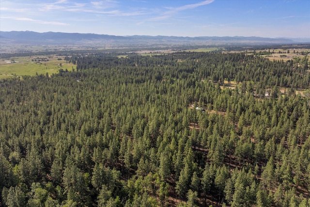 452 Blair Ln, Victor, MT 59875 - bird's eye view of a forest and a mountain backdrop