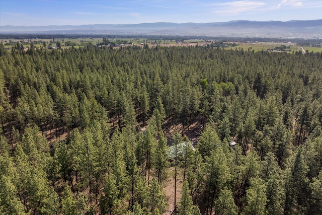 452 Blair Ln, Victor, MT 59875 - drone / aerial view of a mountainous background and a heavily wooded area