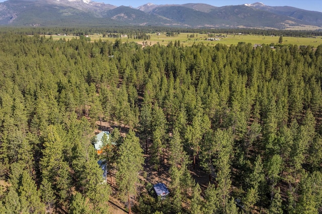 452 Blair Ln, Victor, MT 59875 - view of mountain background featuring a forest