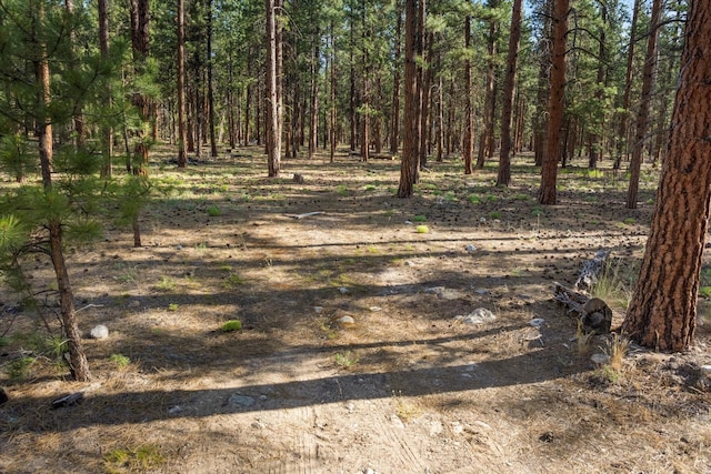 452 Blair Ln, Victor, MT 59875 - view of yard with a wooded view