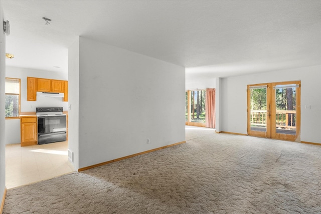 452 Blair Ln, Victor, MT 59875 - unfurnished living room featuring light carpet and baseboards