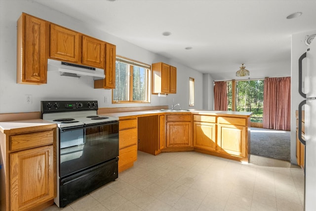 452 Blair Ln, Victor, MT 59875 - kitchen with range with electric cooktop, under cabinet range hood, a peninsula, and healthy amount of natural light