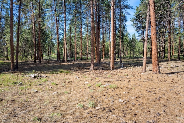 452 Blair Ln, Victor, MT 59875 - view of wooded area