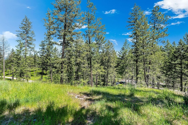 394 Windsor Ct, Bigfork, MT 59911