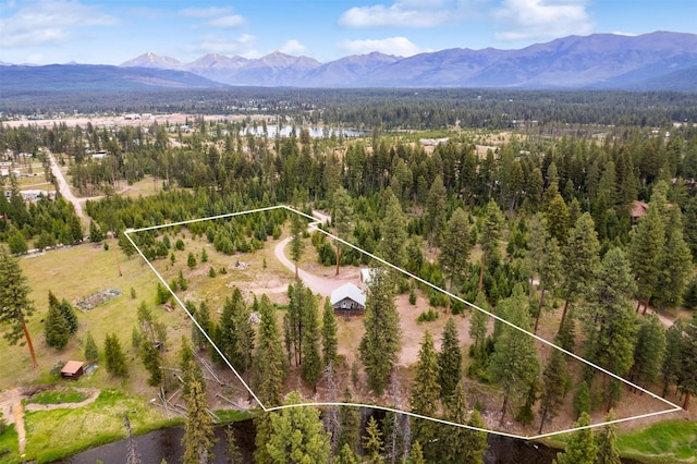 752 Grizzly Dr, Seeley Lake, MT 59868 - aerial view of property's location with a mountain backdrop and property parcel outlined