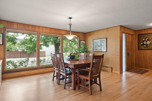 1700 Arthur Ave, Missoula, MT 59801 - dining space featuring plenty of natural light, light wood-style flooring, wood walls, and a textured ceiling