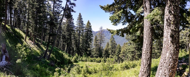 3600 Cottonwood Ranch Trl, Bozeman, MT 59718