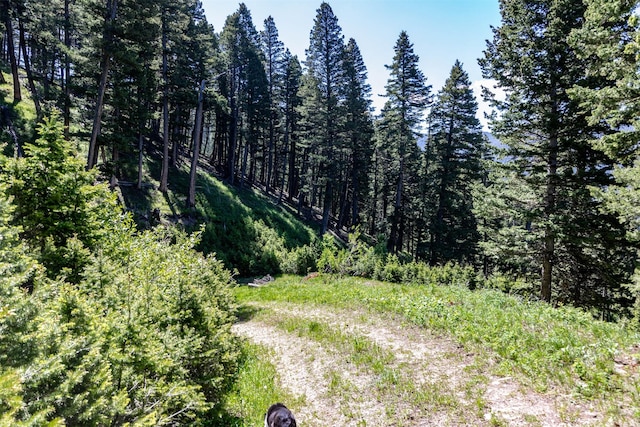 3600 Cottonwood Ranch Trl, Bozeman, MT 59718