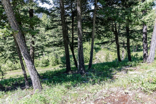 3600 Cottonwood Ranch Trl, Bozeman, MT 59718