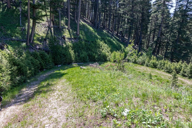 3600 Cottonwood Ranch Trl, Bozeman, MT 59718