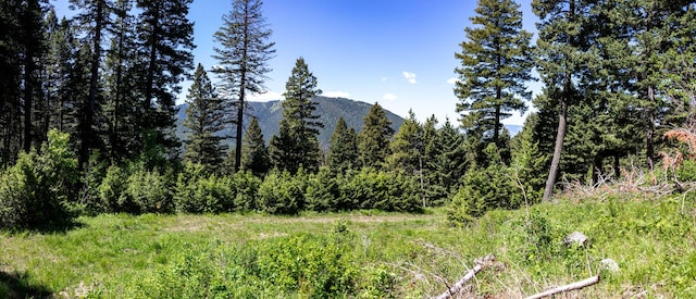 3600 Cottonwood Ranch Trl, Bozeman, MT 59718
