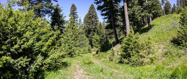 3600 Cottonwood Ranch Trl, Bozeman, MT 59718