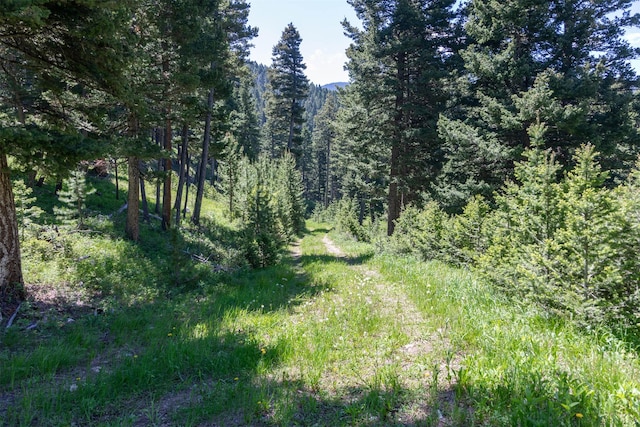 3600 Cottonwood Ranch Trl, Bozeman, MT 59718