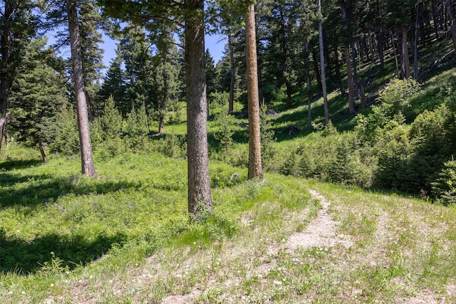 3600 Cottonwood Ranch Trl, Bozeman, MT 59718