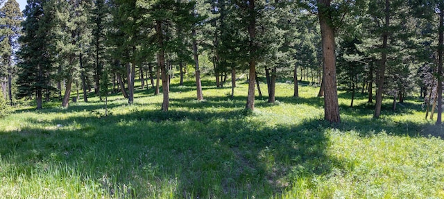 3600 Cottonwood Ranch Trl, Bozeman, MT 59718