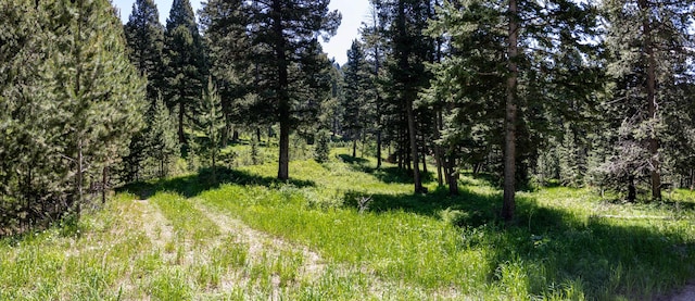 3600 Cottonwood Ranch Trl, Bozeman, MT 59718