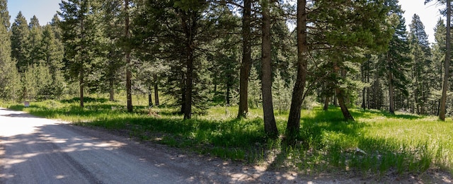 3600 Cottonwood Ranch Trl, Bozeman, MT 59718