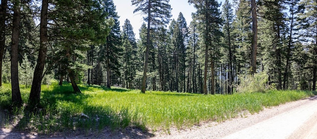 3600 Cottonwood Ranch Trl, Bozeman, MT 59718