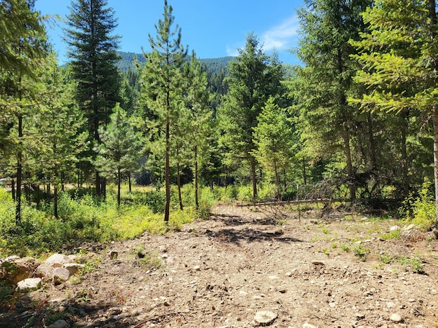 LOT13 Trestle Creek Dr, Saint Regis, MT 59866