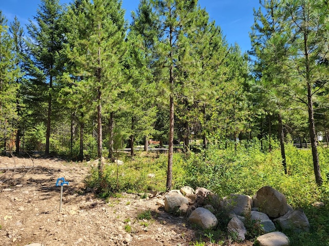 LOT13 Trestle Creek Dr, Saint Regis, MT 59866
