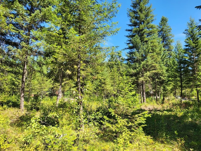 LOT13 Trestle Creek Dr, Saint Regis, MT 59866