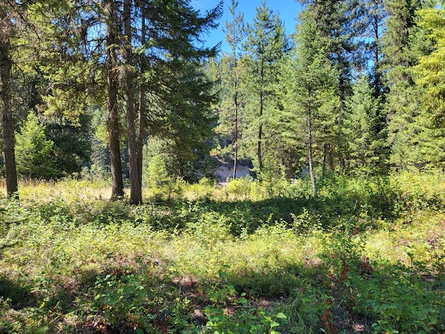 LOT13 Trestle Creek Dr, Saint Regis, MT 59866