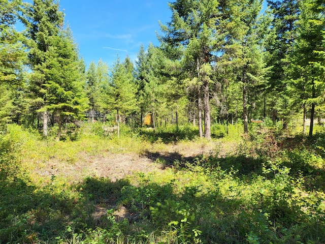 LOT13 Trestle Creek Dr, Saint Regis, MT 59866