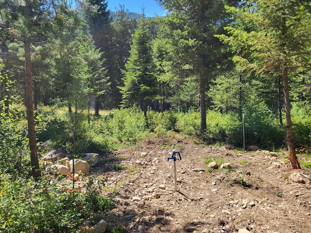 LOT13 Trestle Creek Dr, Saint Regis, MT 59866
