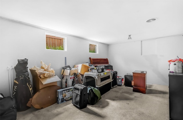 1126 4th Ave S, Great Falls, MT 59405 - basement featuring carpet floors