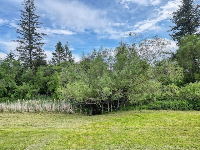 791 Springwood Ln, Kalispell, MT 59901 - view of yard