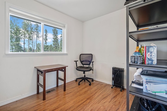 791 Springwood Ln, Kalispell, MT 59901 - office area with light wood finished floors and radiator
