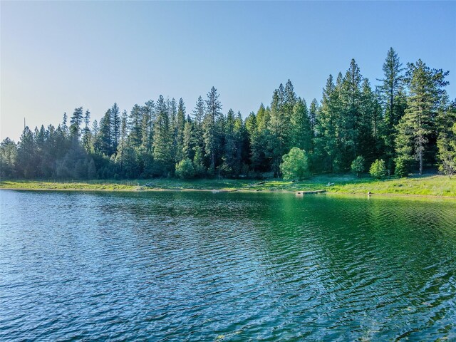 1429 Schoolhouse Lake Rd, Troy, MT 59935 - water view with a heavily wooded area