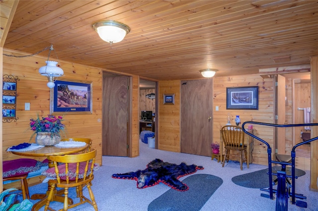 1429 Schoolhouse Lake Rd, Troy, MT 59935 - workout room featuring wooden ceiling, carpet floors, and wood walls