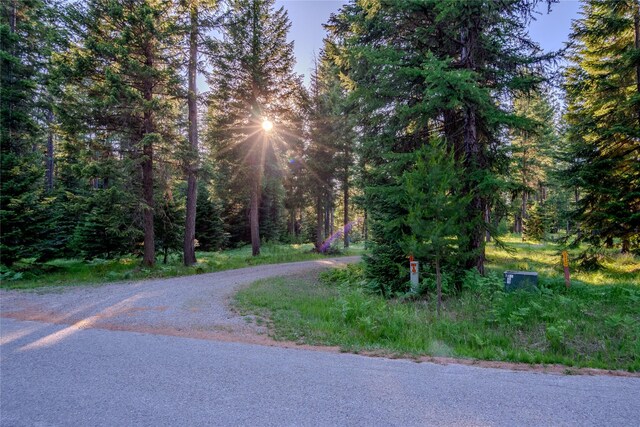 1429 Schoolhouse Lake Rd, Troy, MT 59935 - view of street with a forest view