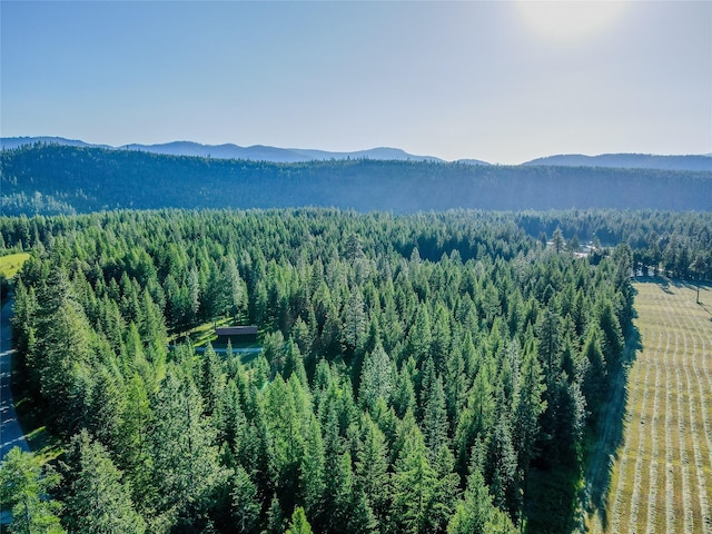 1429 Schoolhouse Lake Rd, Troy, MT 59935 - view of mountain background featuring a forest
