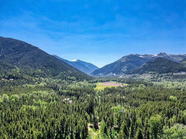 72 Giefer Creek Rd, Essex, MT 59916 - view of mountain backdrop with a heavily wooded area