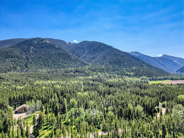 72 Giefer Creek Rd, Essex, MT 59916 - view of mountain background with a heavily wooded area