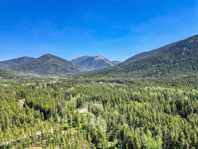 72 Giefer Creek Rd, Essex, MT 59916 - mountain view featuring a forest