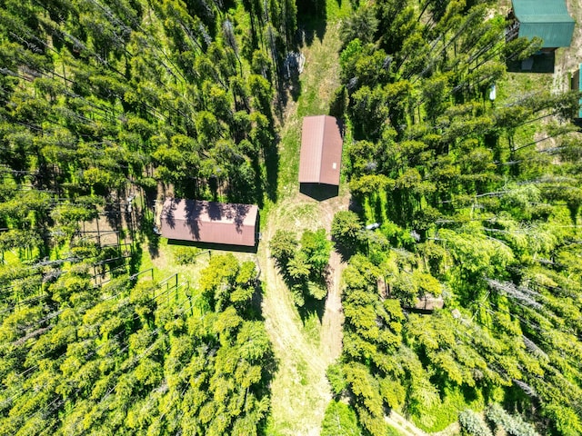 72 Giefer Creek Rd, Essex, MT 59916 - aerial view of property and surrounding area