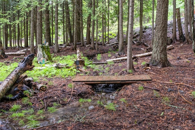 24 Alder Way Unit 3B, Whitefish, MT 59937 - view of tree filled area