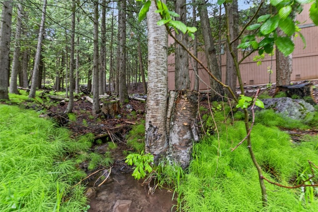 24 Alder Way Unit 3B, Whitefish, MT 59937 - view of undeveloped land