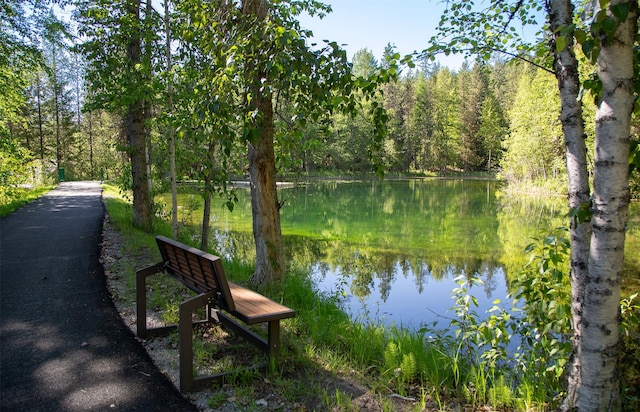 24 Alder Way Unit 3B, Whitefish, MT 59937 - surrounding community featuring a water view and a view of trees
