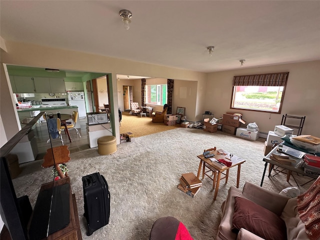 521 N Central Ave, Ekalaka, MT 59324 - carpeted living room featuring a baseboard heating unit